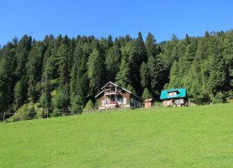 two brown houses surrounded by trees during daytime